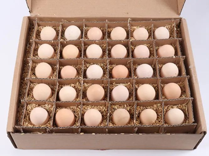 農戶林下散養，產地現發：皖北土雞蛋49.9元30枚！