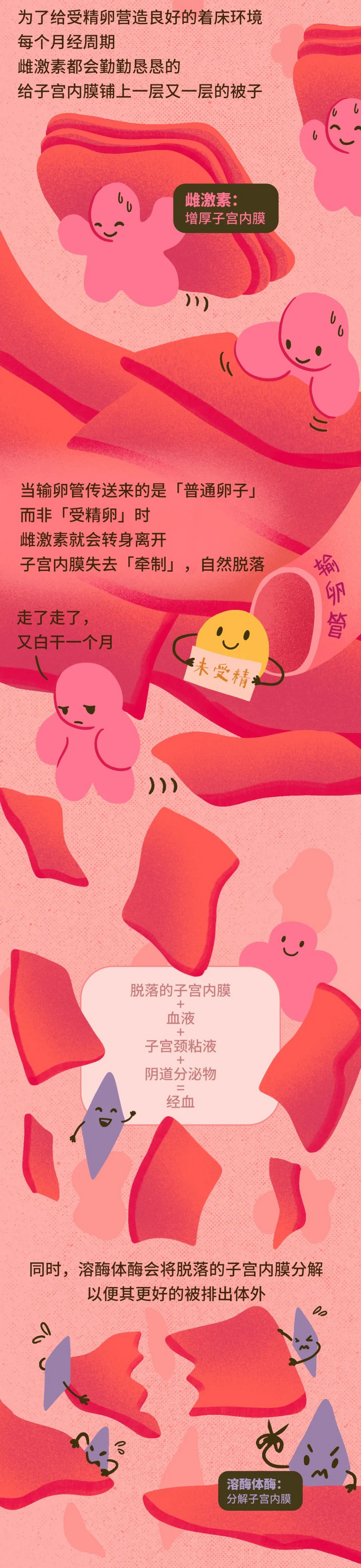 痛經(jīng)女孩們,你的止痛藥可能吃錯了!