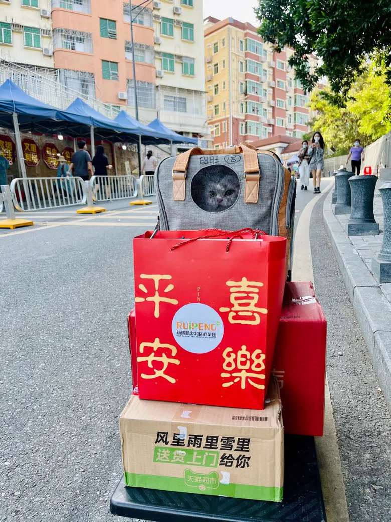 被送進寵物方艙的它們過得怎么樣?親歷者:我家貓3周胖了半斤!