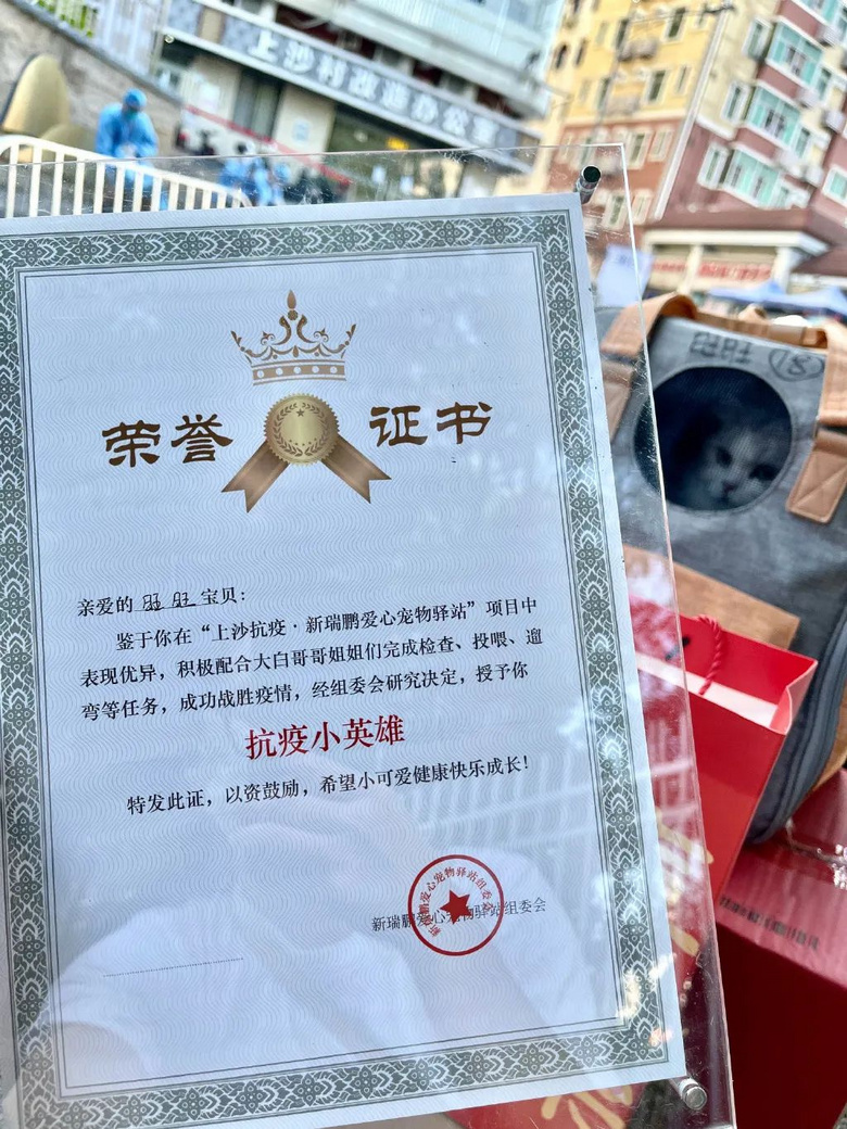 被送進寵物方艙的它們過得怎么樣?親歷者:我家貓3周胖了半斤!