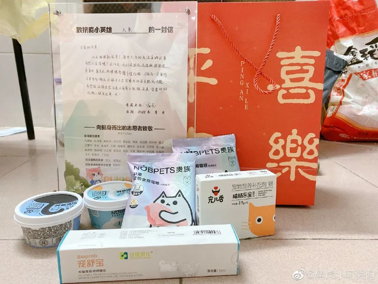 被送進寵物方艙的它們過得怎么樣?親歷者:我家貓3周胖了半斤!
