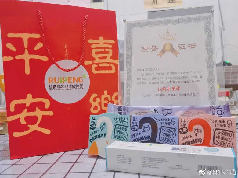 被送進寵物方艙的它們過得怎么樣?親歷者:我家貓3周胖了半斤!
