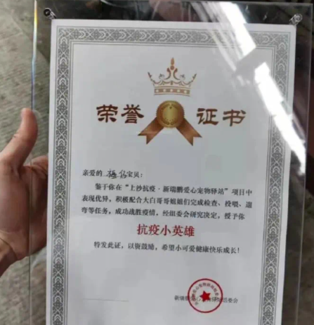 被送進寵物方艙的它們過得怎么樣?親歷者:我家貓3周胖了半斤!