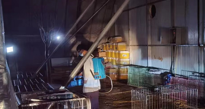 被送進寵物方艙的它們過得怎么樣?親歷者:我家貓3周胖了半斤!