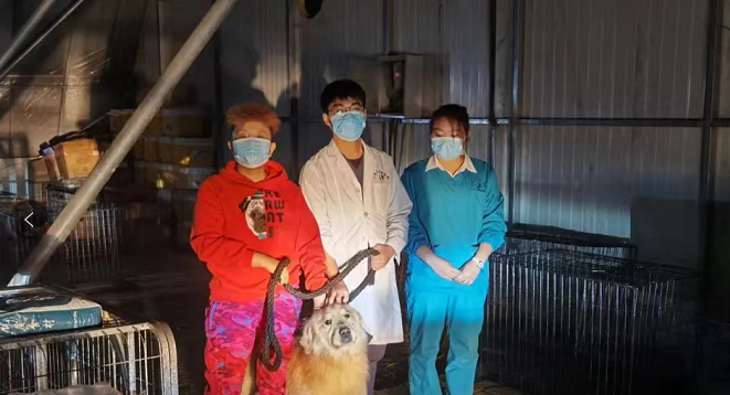 被送進寵物方艙的它們過得怎么樣?親歷者:我家貓3周胖了半斤!