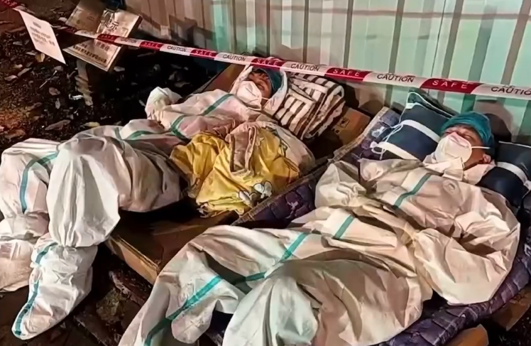 被送進寵物方艙的它們過得怎么樣?親歷者:我家貓3周胖了半斤!