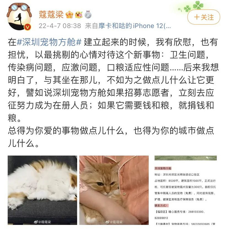 被送進寵物方艙的它們過得怎么樣?親歷者:我家貓3周胖了半斤!