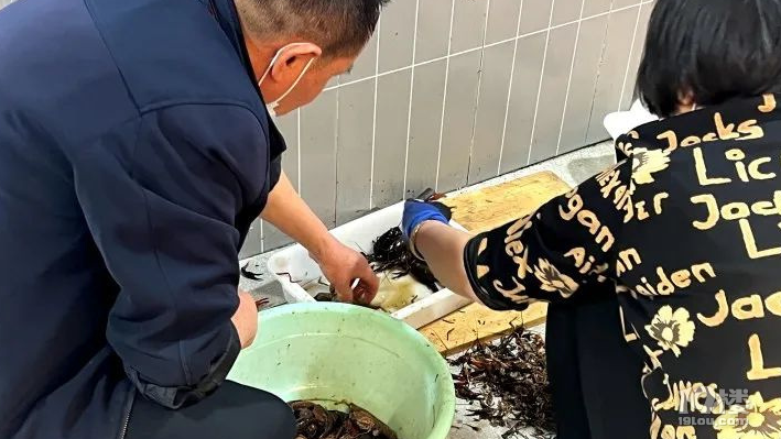 最低10多元/斤？第一顿小龙虾建议再忍忍，过两天就要降价了