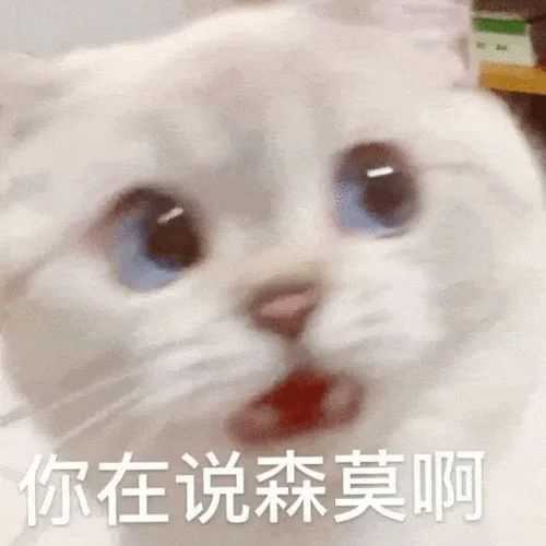 ?yn)˽Ҏ(gu)һֻ؈ؼҡ? /></div><br><div align=
