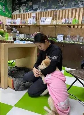 老板同意帶生病狗狗上班還幫忙照顧,員工感動(dòng)哭了:賣命都行