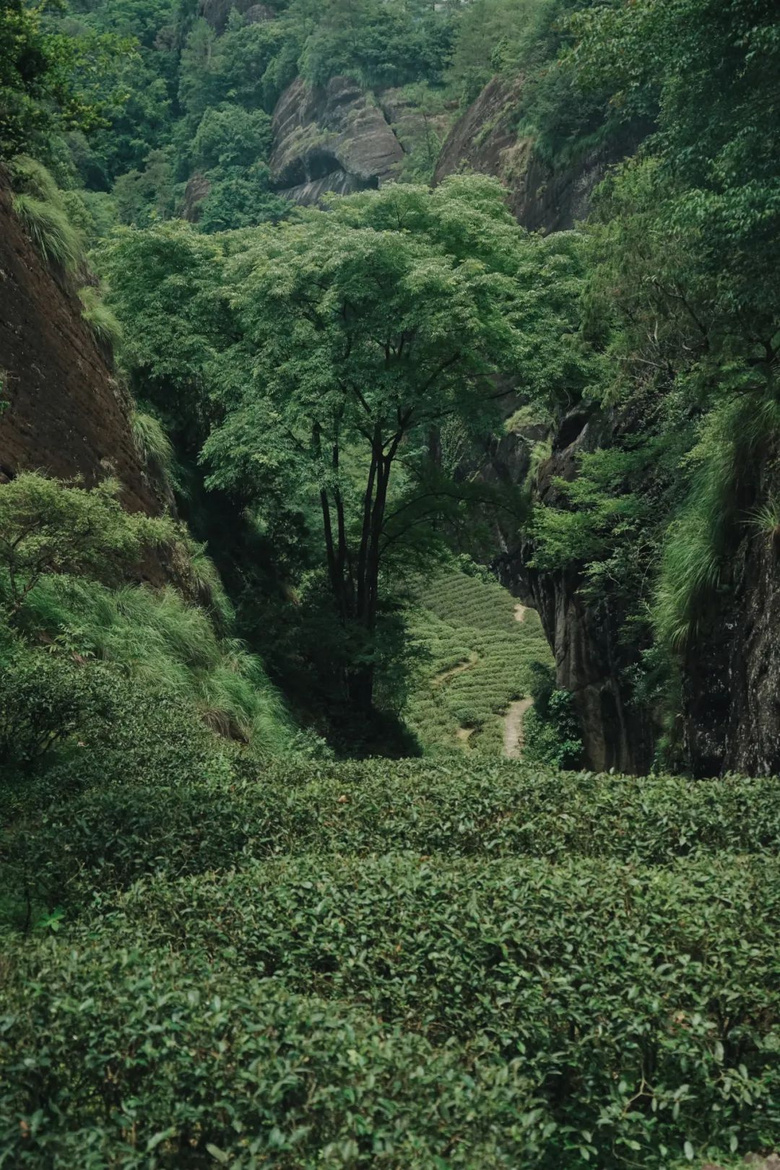 据说去过这座城市的人，都想要原地退休了！