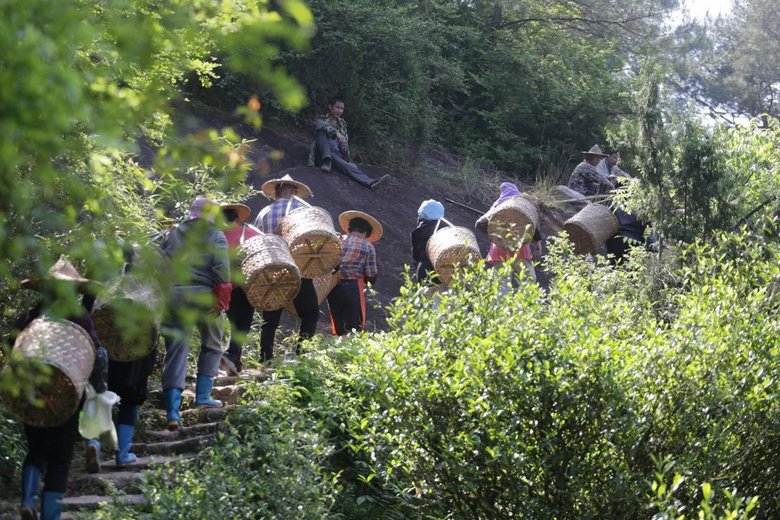 据说去过这座城市的人，都想要原地退休了！