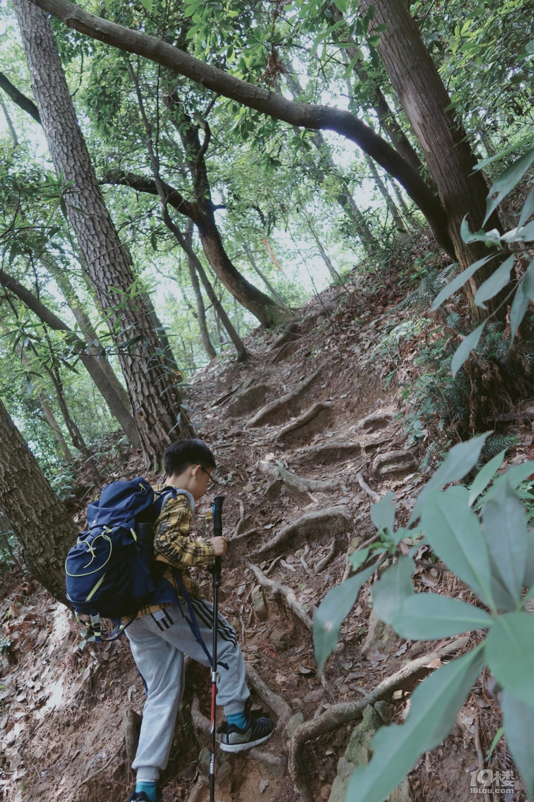 【圓滿收官】杭州遛娃-經典爬山路線之徒步標毅線
