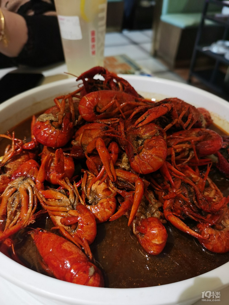 炸串龍蝦砂鍋我都要