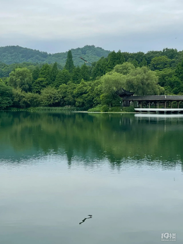 西湖美景五月天夏风吹来游西湖烟笼高楼烟笼沙漂泊在外想家