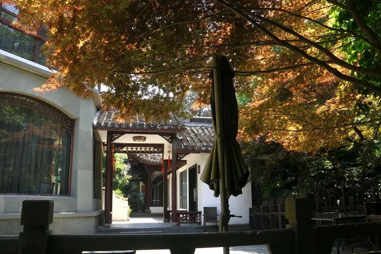 假护士测核酸！警方通报｜新闻早餐