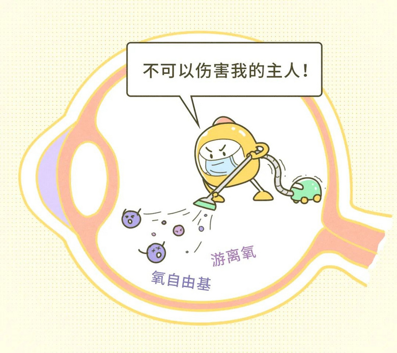 一種眼睛很需要的食物,70% 的中國人都沒吃夠