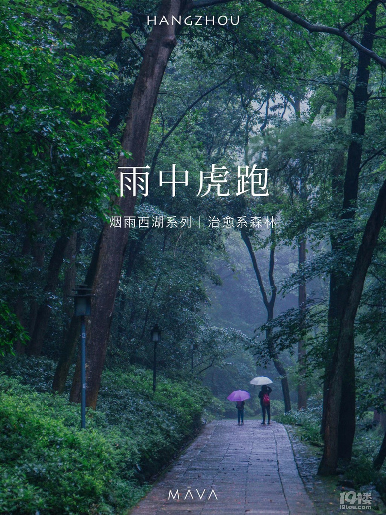 杭州夏雨天虎跑漫步被滿屏的森林氣治愈了