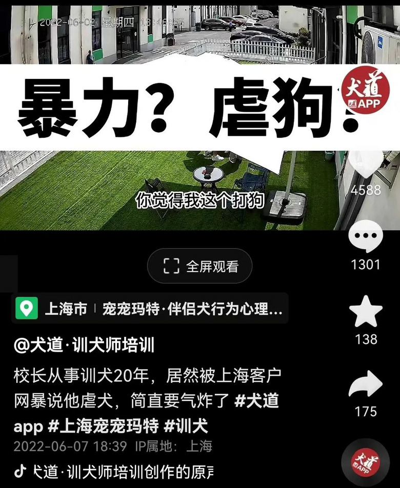 百萬粉絲“訓犬師”上課虐打邊牧!拉布拉多想去救它,卻被…網(wǎng)友