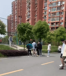 貓咪疑似被虐待,整顆頭強塞在洞里,正想聲討主人,可真相…什么