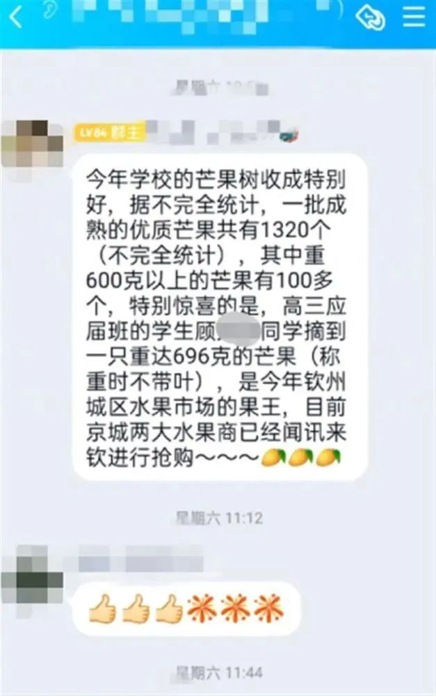 芒果重量暗喻高考分数?南宁教育局回应