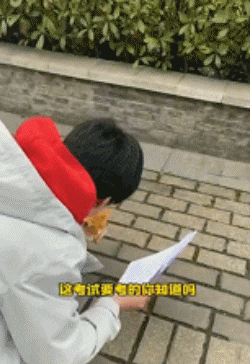 高校流浪貓表面風(fēng)光,背地里卻被學(xué)生拉著做題…網(wǎng)友:這不欺負(fù)文