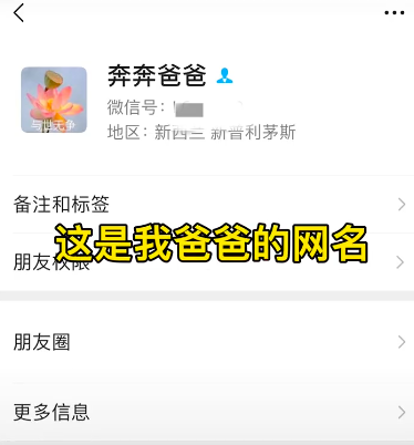 95斤拉布拉多半夜中暑,全家出動背它去醫(yī)院,溫馨但有點費主人