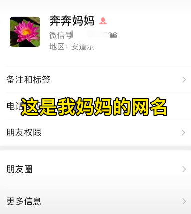 95斤拉布拉多半夜中暑,全家出動背它去醫(yī)院,溫馨但有點費主人