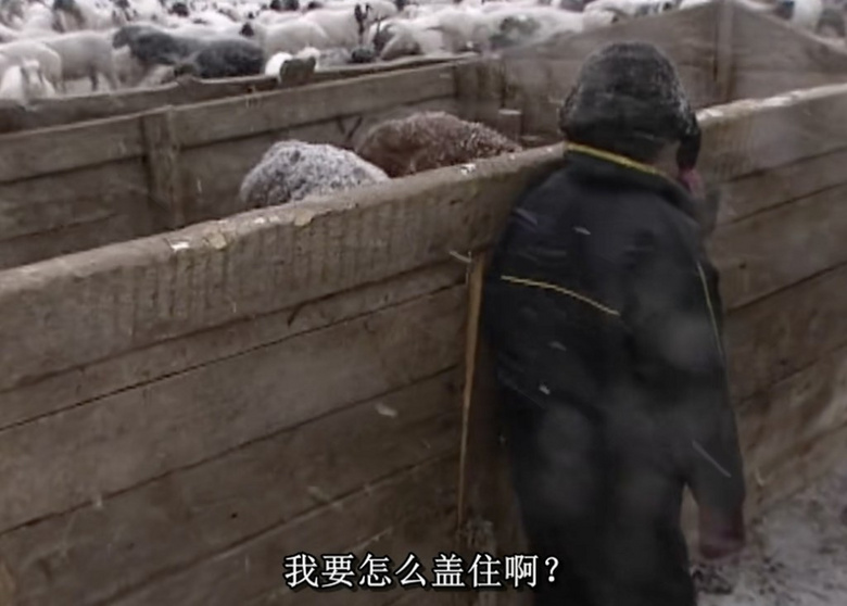 豆瓣9.7，兩萬人哭著打五星，這個(gè)故事再也拍不出續(xù)集