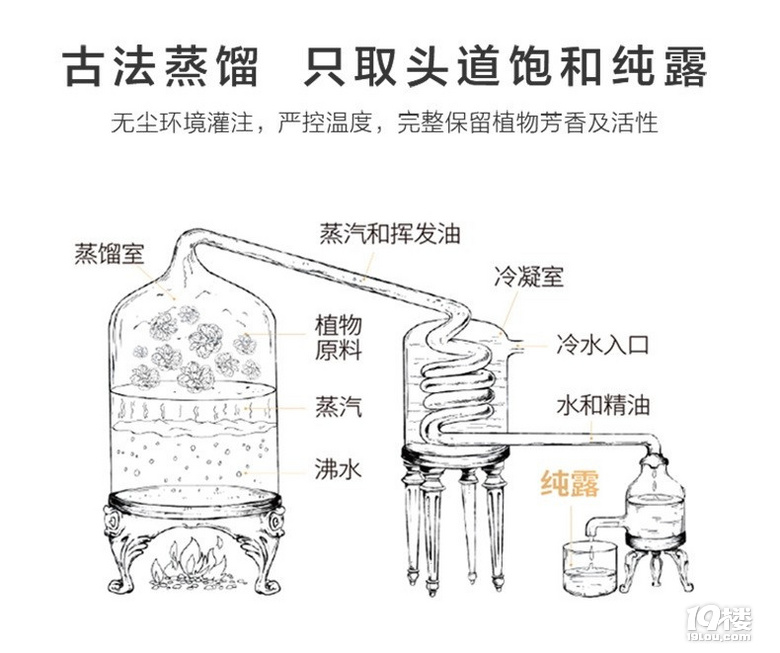 玫瑰纯露爽肤水
