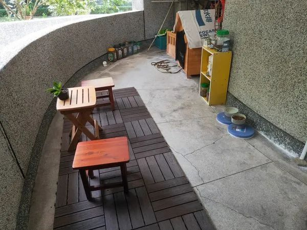 流浪狗變成校犬后深受喜愛,學(xué)校還為它開設(shè)課程…這才是生命教育