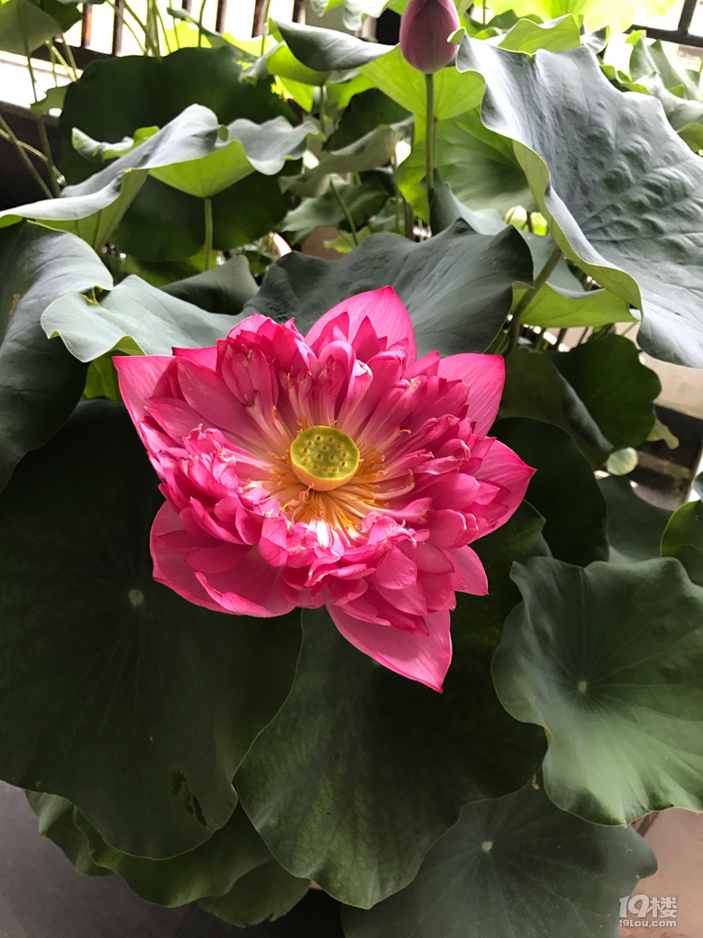 降温后的一次游玩