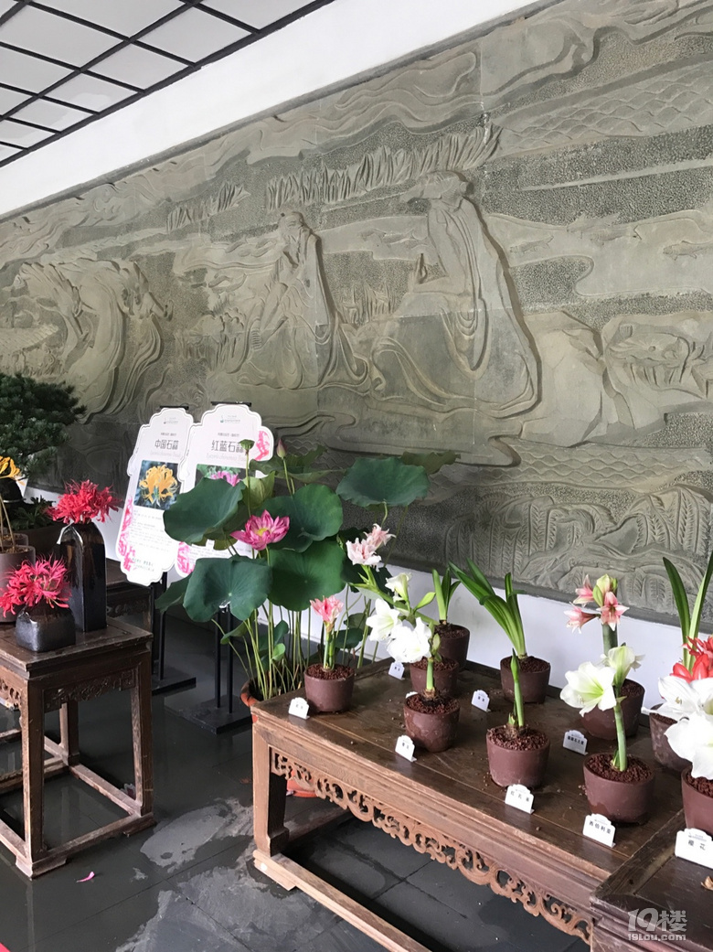 降温后的一次游玩