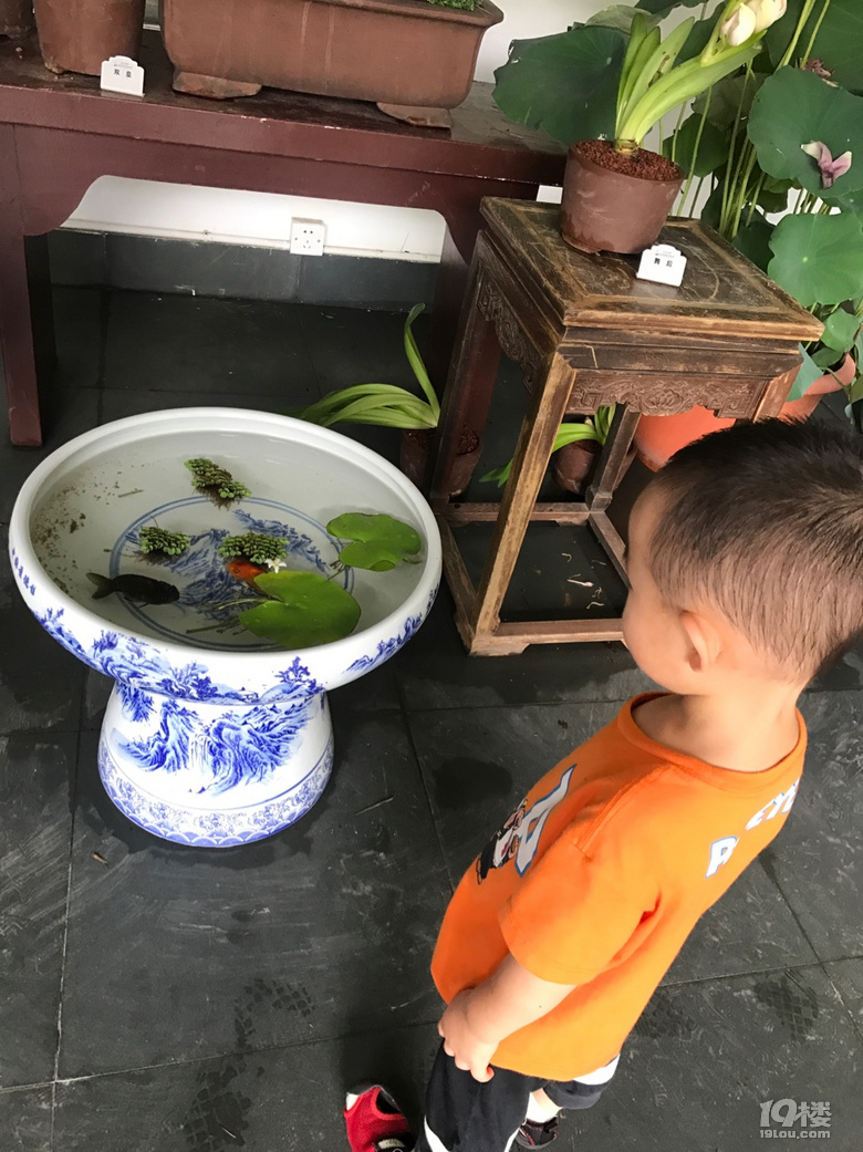 降温后的一次游玩
