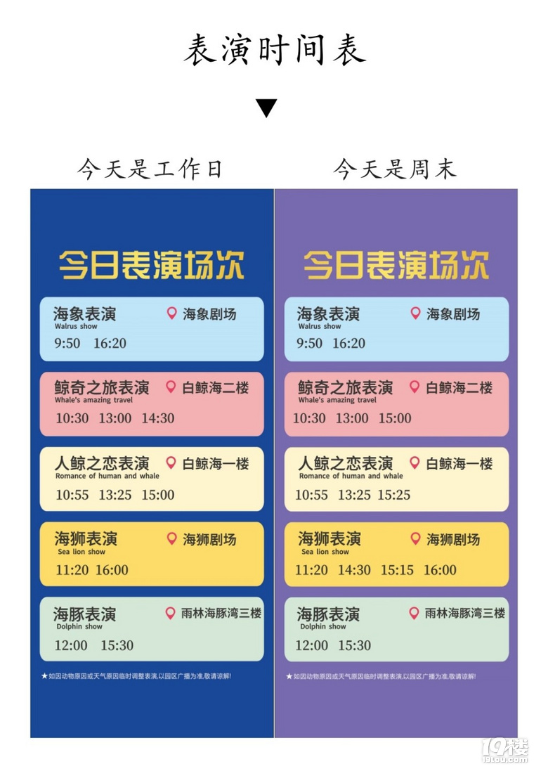 長喬極地海洋公園,值不值得玩?
