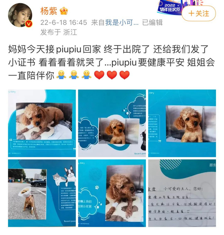 提起12歲愛犬,楊紫濕了眼眶:“我最親愛的家人,請你陪我更久