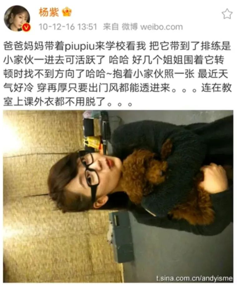 提起12歲愛犬,楊紫濕了眼眶:“我最親愛的家人,請你陪我更久