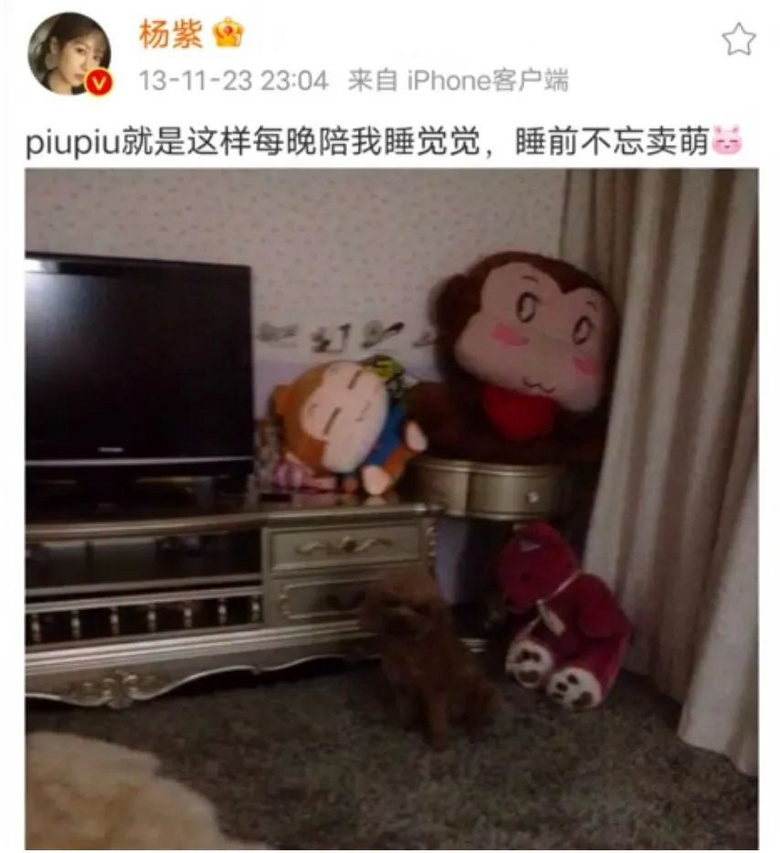 提起12歲愛犬,楊紫濕了眼眶:“我最親愛的家人,請你陪我更久