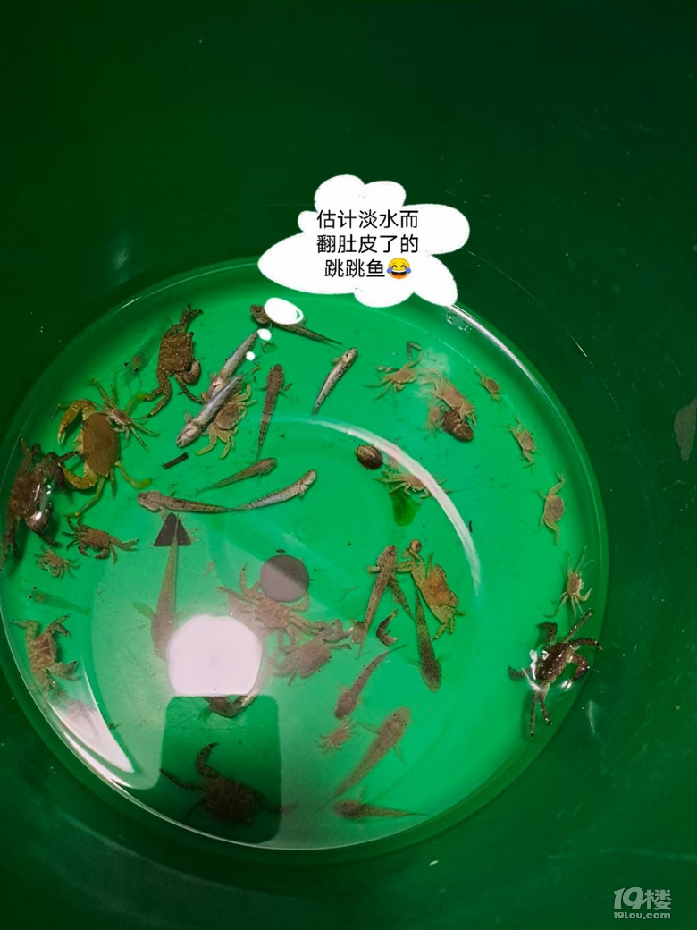 跟着我们一起逛海盐，爬城楼，看风车，去赶海，变成小泥人，哈哈