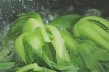 ʡ10%ˡ}(bio)t(y)c(din)4(g)ΣȺw