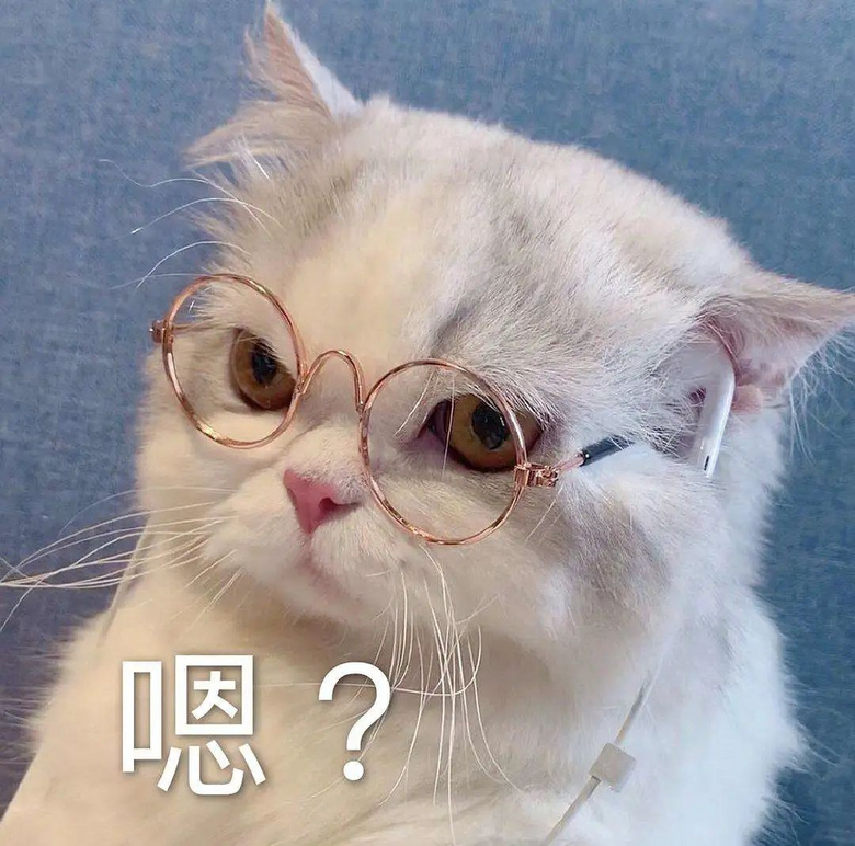 朋友貓來(lái)家里借住,高冷逆子一改常態(tài)變跟屁蟲(chóng)…網(wǎng)友:它在抓你出