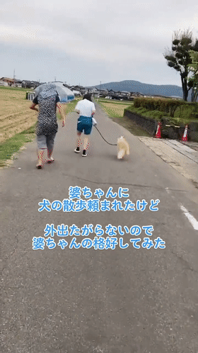 二哈見小主人睡覺,趕緊把爸爸身上的被子拽過來給他…網(wǎng)友:是個