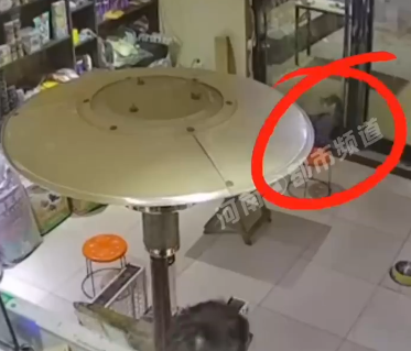 貓咪腳被魚鉤勾住,跑消防隊(duì)求助…臨走前被摸貓頭叮囑:以后別這