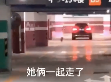 二哈見小主人睡覺,趕緊把爸爸身上的被子拽過來給他…網(wǎng)友:是個