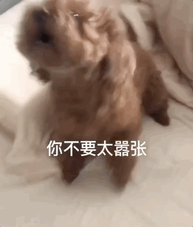 二哈見小主人睡覺,趕緊把爸爸身上的被子拽過來給他…網(wǎng)友:是個