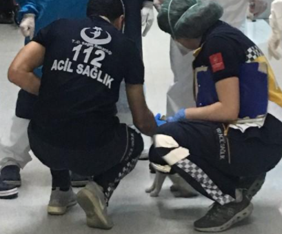 貓咪腳被魚鉤勾住,跑消防隊(duì)求助…臨走前被摸貓頭叮囑:以后別這