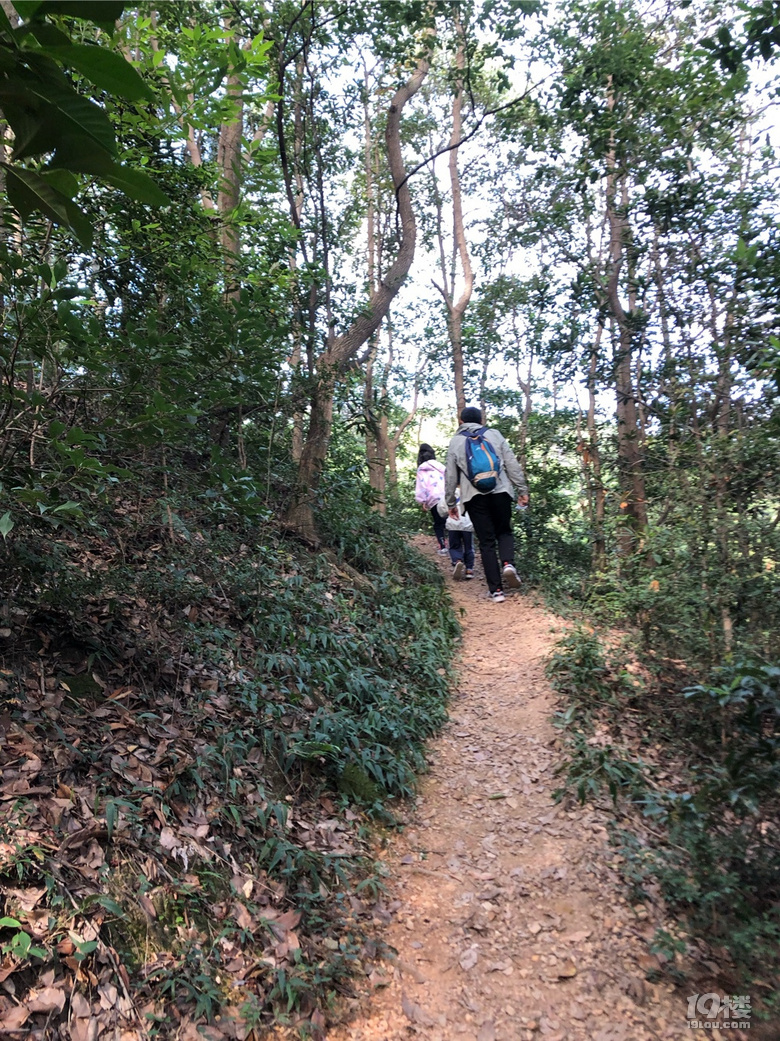 贵人阁爬山路线