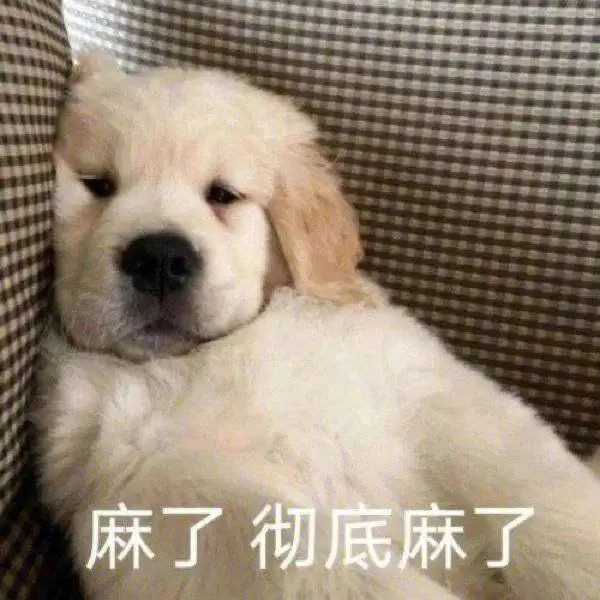 ���棬���棬���װ�ޱ��۹��ͣ���ԱȺ���ǩ����ͬ