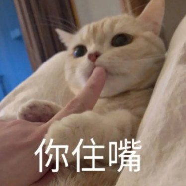 獸醫(yī)分享了貓咪最容易被忽視的生病癥狀,養(yǎng)貓一定要注意!