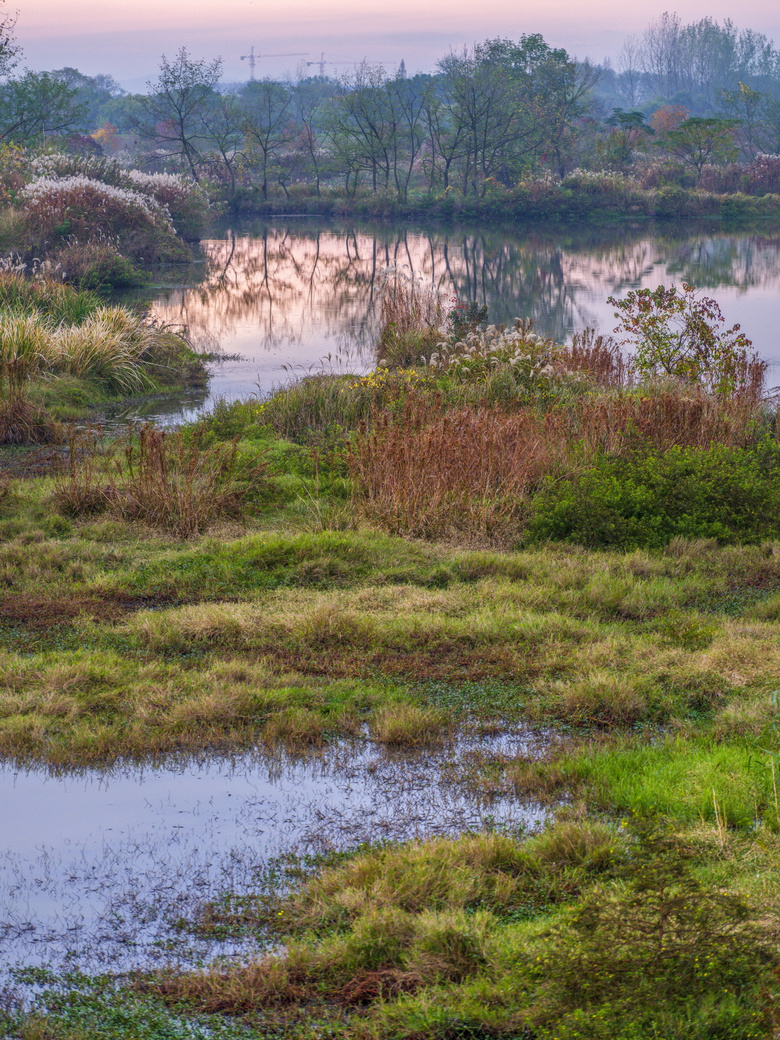 北湖草荡，一个原生态野趣横生的2万亩湿地芦苇荡